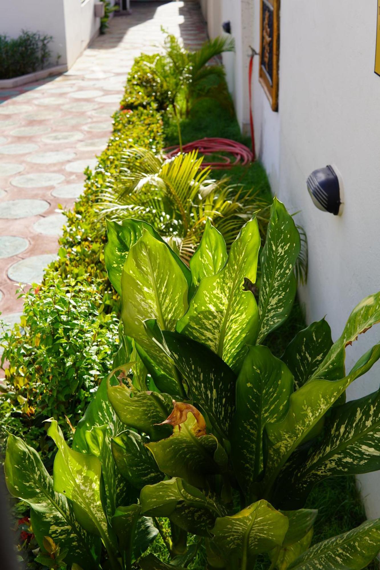 Prestige Guesthouse ,Ksi Kumasi Dış mekan fotoğraf